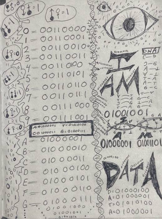 1280 I am DATA